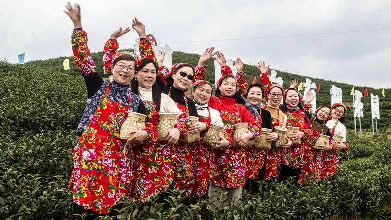 茶旅融合邂逅光影艺术 摄影大赛助力品牌传承 市女摄协:镜头下的茶香之旅