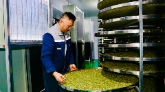 四川名山新茶饮原料生产线投产助力产业转型 名山区首条新茶饮原料生产线投产 赋能茶产业转型升级