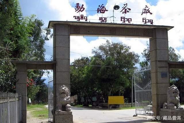 96紫大益青饼：大益之王的独特魅力与收藏价值