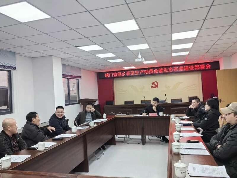 福鼎春茶生产全速推进,技术培训助力品质攀升与乡村振兴 吹响春茶生产号角 铸就春茶品质“金招牌”