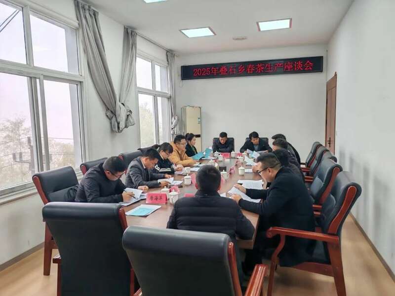 福鼎春茶生产全速推进,技术培训助力品质攀升与乡村振兴 吹响春茶生产号角 铸就春茶品质“金招牌”