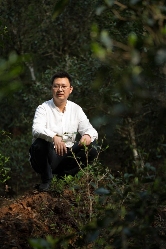 非遗古树茶传承者李先国的匠心守护之路 李先国:矢志将好茶带出深山