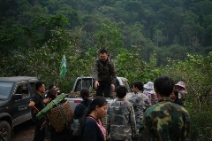 非遗古树茶传承者李先国的匠心守护之路 李先国:矢志将好茶带出深山