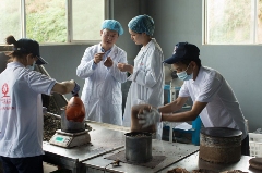 非遗古树茶传承者李先国的匠心守护之路 李先国:矢志将好茶带出深山