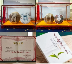 非遗古树茶传承者李先国的匠心守护之路 李先国:矢志将好茶带出深山
