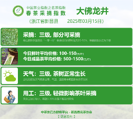 名茶采摘指数分级标准:依据茶芽、天气与用工划分五级 2025春茶季:洞庭山碧螺春开采
