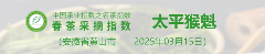 名茶采摘指数分级标准:依据茶芽、天气与用工划分五级 2025春茶季:洞庭山碧螺春开采