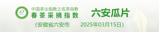 名茶采摘指数分级标准:依据茶芽、天气与用工划分五级 2025春茶季:洞庭山碧螺春开采
