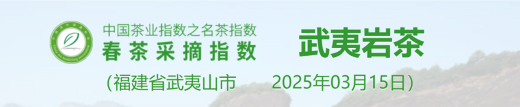 名茶采摘指数分级标准:依据茶芽、天气与用工划分五级 2025春茶季:洞庭山碧螺春开采
