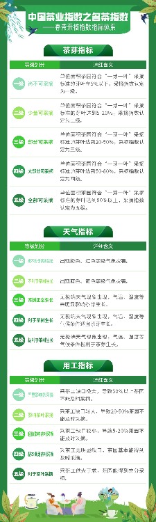 名茶采摘指数分级标准:依据茶芽、天气与用工划分五级 2025春茶季:洞庭山碧螺春开采