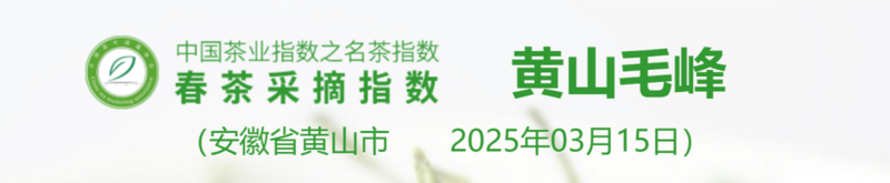 名茶采摘指数分级标准:依据茶芽、天气与用工划分五级 2025春茶季:洞庭山碧螺春开采