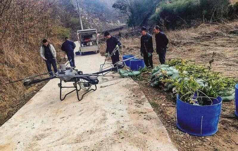 无人机助力油茶种植 科技赋能乡村振兴 商南县:无人机“上岗”赋能春耕 栽下油茶绿满坡