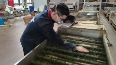 名山区黑竹园区春茶生产火热 市场需求旺盛 名山区北部(黑竹)茶叶集中加工园区茶叶生产忙