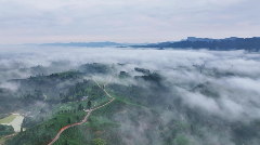 高山云雾孕育独特茶香,品味诗意人生 每一口蒙顶山茶,都藏着高山云雾秘境的春日惊喜!