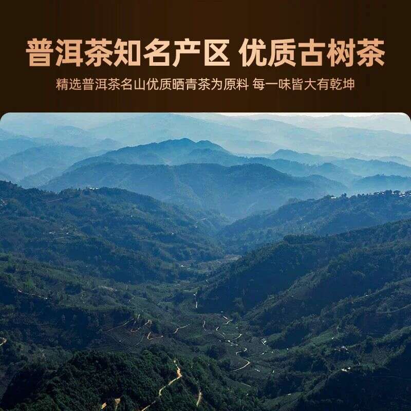 生肖茶文化:甄选古树茶品质传承百年匠心 还原本味见实力,老同志福肖纪新品
