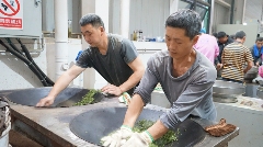 名山区春茶生产进入旺季 红星镇茶企抢"鲜"赶制春茶! 名山区春茶生产进入旺季 红星镇茶企抢
