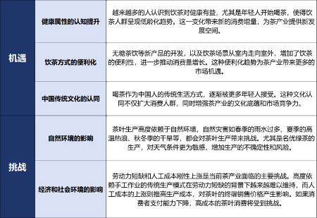 重要市场信号!2025年茶青量价趋势前瞻 重要市场信号!2025年茶青量价趋势前瞻