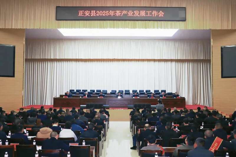 正安县2025年茶产业发展工作会召开 正安县2025年茶产业发展工作会召开