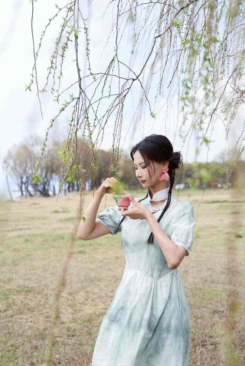 下关乔木老白茶 风起春意,适饮白茶 下关乔木老白茶 风起春意,适饮白茶