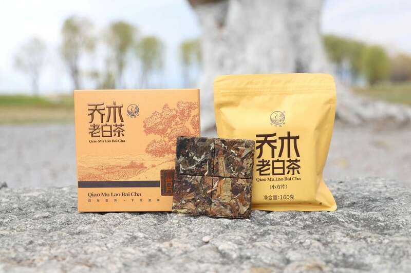 下关乔木老白茶 风起春意,适饮白茶 下关乔木老白茶 风起春意,适饮白茶