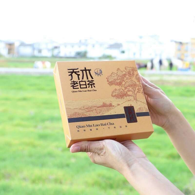下关乔木老白茶 风起春意,适饮白茶 下关乔木老白茶 风起春意,适饮白茶