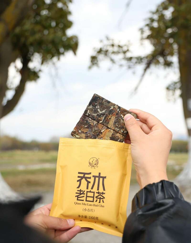 下关乔木老白茶 风起春意,适饮白茶 下关乔木老白茶 风起春意,适饮白茶