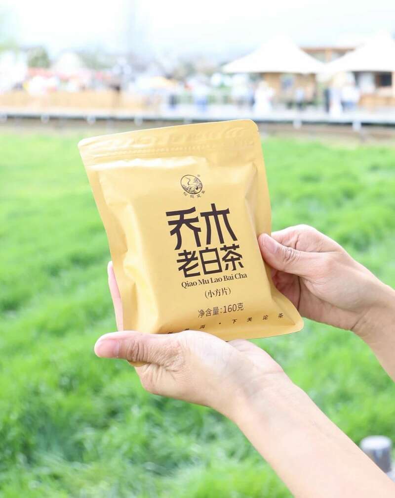 下关乔木老白茶 风起春意,适饮白茶 下关乔木老白茶 风起春意,适饮白茶