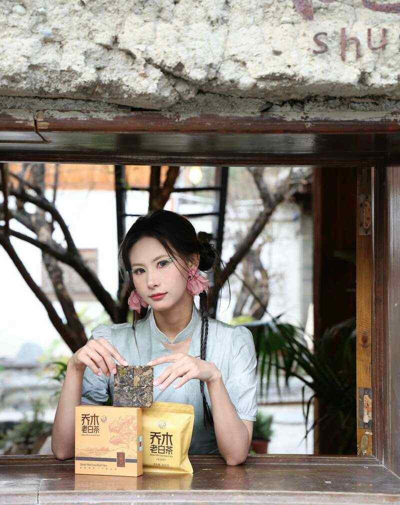 下关乔木老白茶 风起春意,适饮白茶 下关乔木老白茶 风起春意,适饮白茶