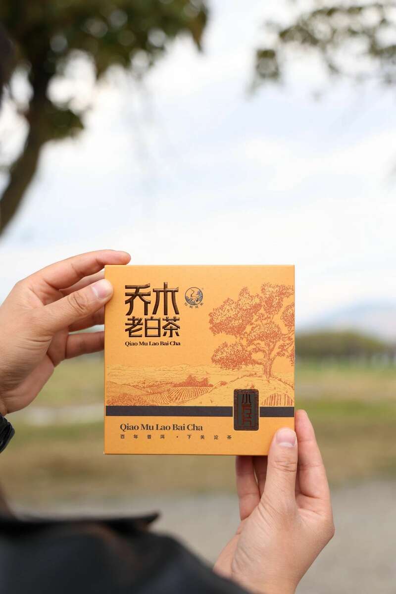 春日茶香邂逅越陈越醇体验 下关乔木老白茶 白茶小方片,春日小甜甜