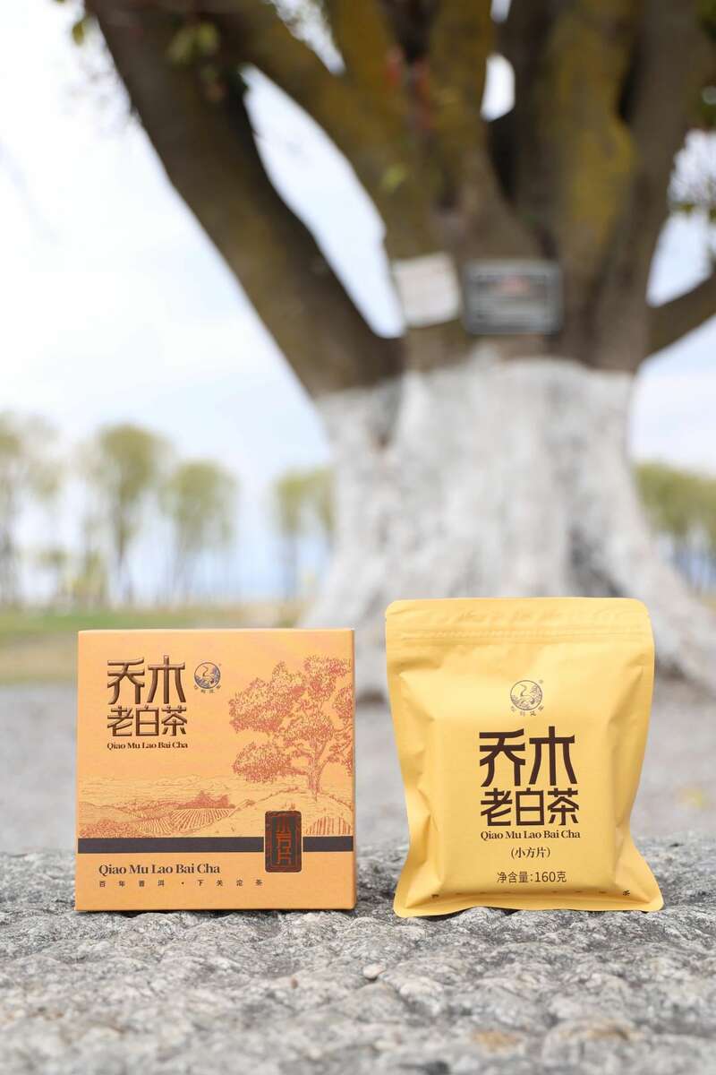 春日茶香邂逅越陈越醇体验 下关乔木老白茶 白茶小方片,春日小甜甜