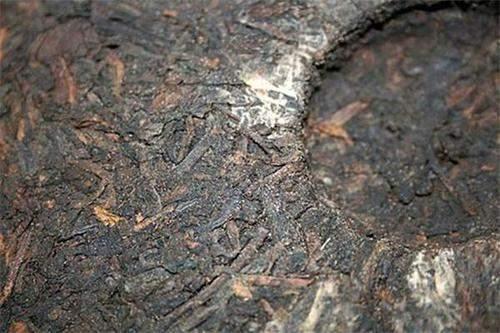 家庭存普洱茶巧避潮湿 关键在于温湿度控制
