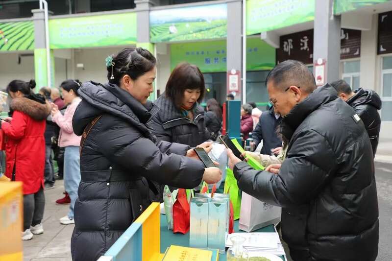 纳溪特早茶产业链发展新路径 让绿叶子成为金名片 纳溪区:打造百亿茶产业
