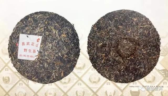 2001年绿大树批次特征解析：野生系与大益系区别