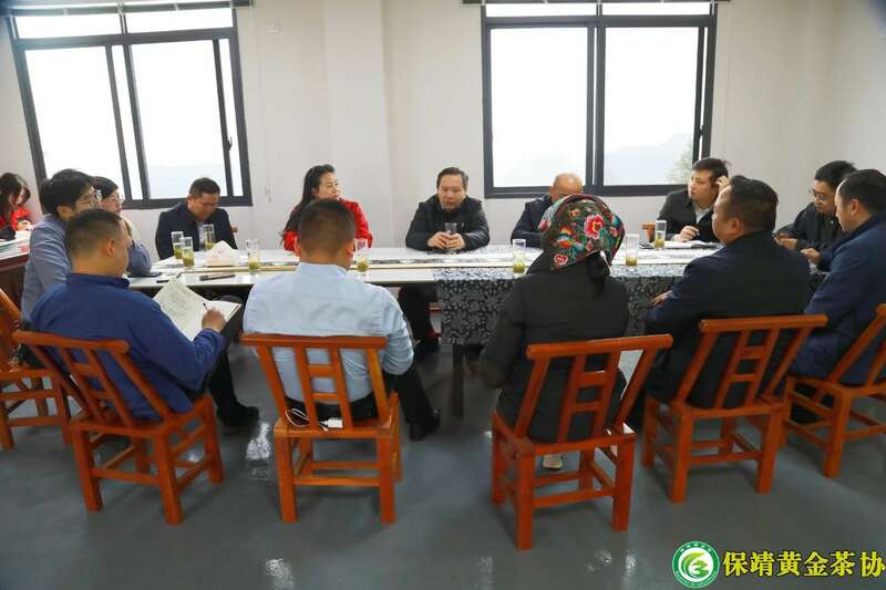 保靖县春茶生产调研确立新发展方向 保靖黄金茶产业“四驾马车”齐发力 深入调研春茶生产