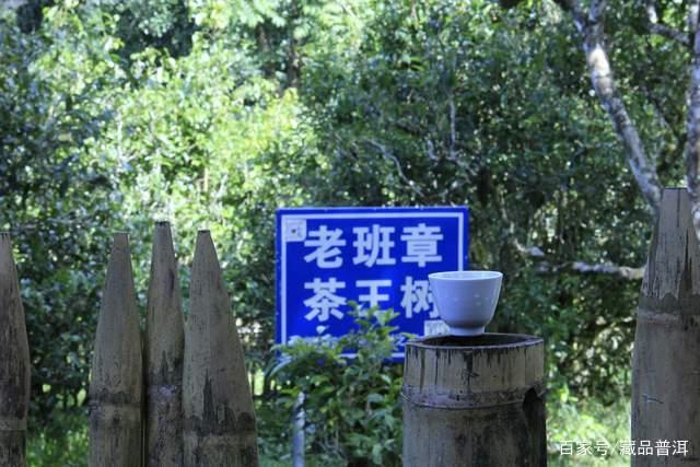 老班章茶为何价值飙升50倍？稀缺性与流通性驱动