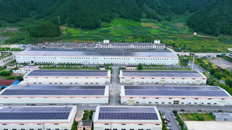 2025出海续航!贵州抹茶再次大规模出口日本! 2025出海续航!贵州抹茶再次大规模出口日本!