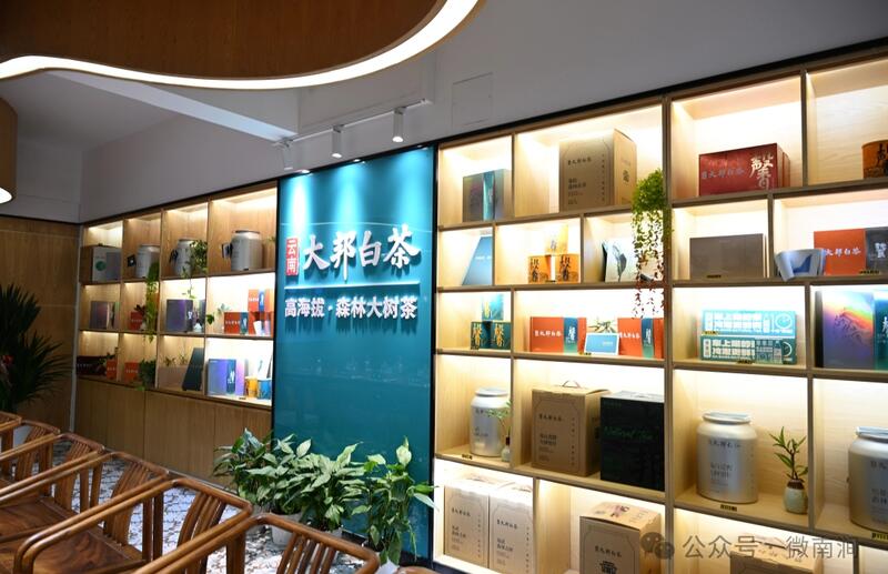 云南白茶研究院东莞藏茶研究中心揭牌 南涧开启跨区域合作新篇章 云南白茶研究院东莞藏茶研究中心揭牌 南涧开启跨区域合作新篇章