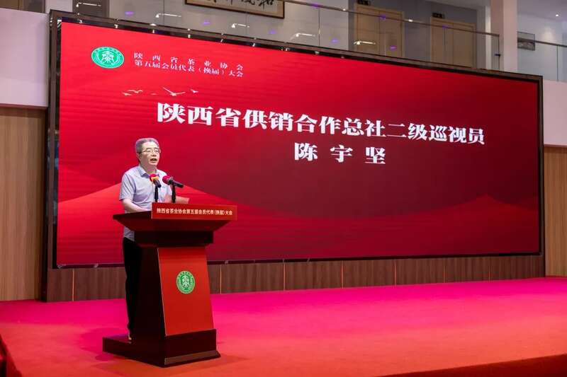 茶业传承 聚力前行:陕西省茶业协会完成换届 ,擘画发展新篇章(咸阳召开) 茶业传承 聚力前行:陕西省茶业协会完成换届 ,擘画发展新篇章(咸阳召开)