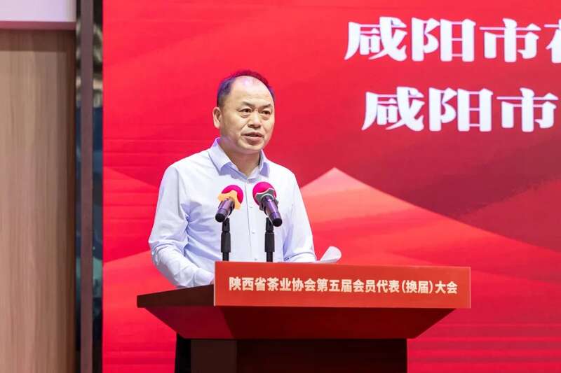 茶业传承 聚力前行:陕西省茶业协会完成换届 ,擘画发展新篇章(咸阳召开) 茶业传承 聚力前行:陕西省茶业协会完成换届 ,擘画发展新篇章(咸阳召开)