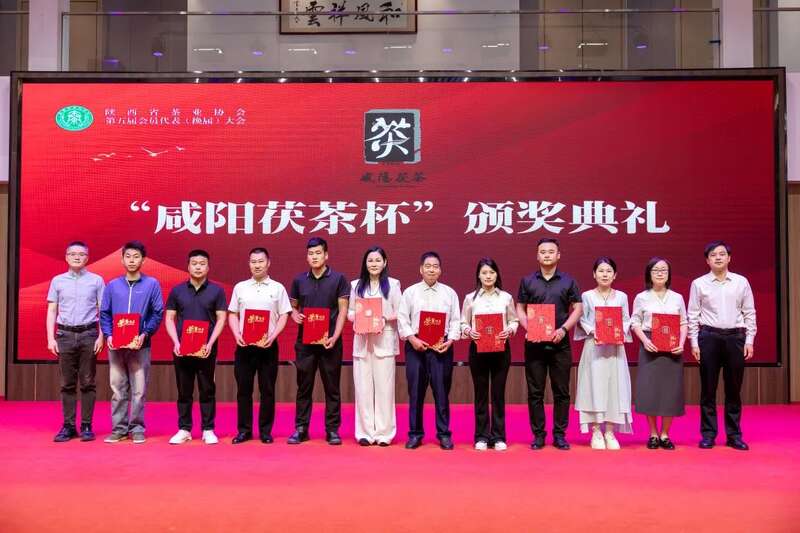茶业传承 聚力前行:陕西省茶业协会完成换届 ,擘画发展新篇章(咸阳召开) 茶业传承 聚力前行:陕西省茶业协会完成换届 ,擘画发展新篇章(咸阳召开)