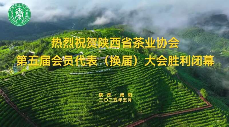 茶业传承 聚力前行:陕西省茶业协会完成换届 ,擘画发展新篇章(咸阳召开) 茶业传承 聚力前行:陕西省茶业协会完成换届 ,擘画发展新篇章(咸阳召开)