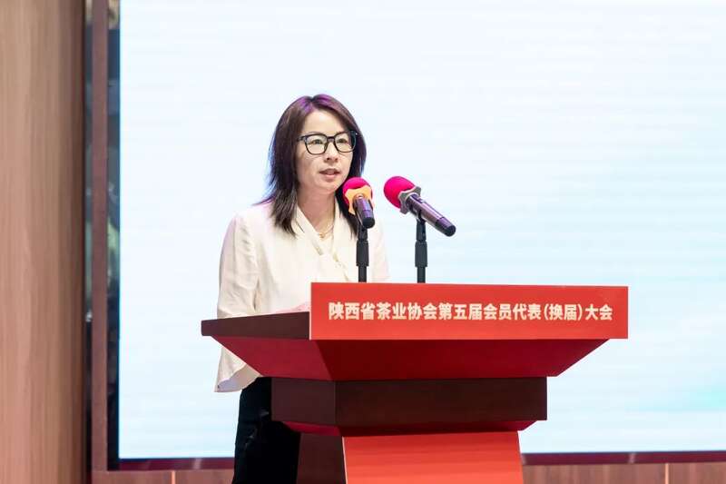 茶业传承 聚力前行:陕西省茶业协会完成换届 ,擘画发展新篇章(咸阳召开) 茶业传承 聚力前行:陕西省茶业协会完成换届 ,擘画发展新篇章(咸阳召开)