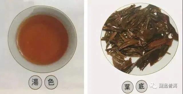 96真醇雅号,复刻号极茶工艺第一饼!复兴易武茶的先锋 96真醇雅号,复刻号极茶工艺第一饼!复兴易武茶的先锋
