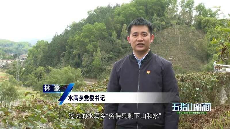 五指山水满乡:守护生态“国宝” ,走好“茶 + 文旅”发展新路径 五指山水满乡:守护生态“国宝” ,走好“茶 + 文旅”发展新路径