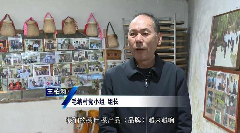 五指山水满乡:守护生态“国宝” ,走好“茶 + 文旅”发展新路径 五指山水满乡:守护生态“国宝” ,走好“茶 + 文旅”发展新路径