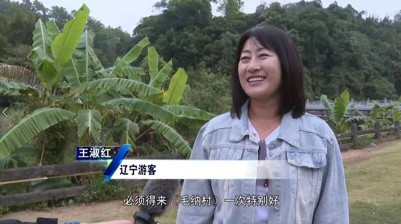 五指山水满乡:守护生态“国宝” ,走好“茶 + 文旅”发展新路径 五指山水满乡:守护生态“国宝” ,走好“茶 + 文旅”发展新路径