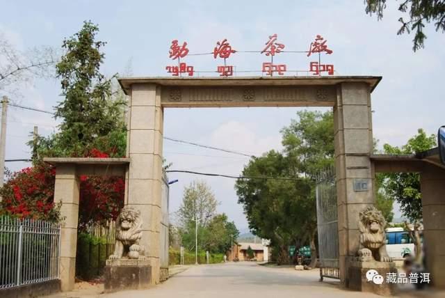 班章大白菜系列,为什么06年以后不再生产?详解601班章有机青饼 班章大白菜系列,为什么06年以后不再生产?详解601班章有机青饼
