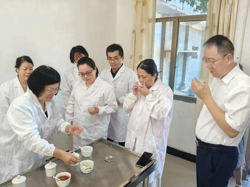 衡阳茶业协会2025年推进"三茶"统筹发展方向 推动“三茶”统筹发展,衡阳市茶业将有大动作