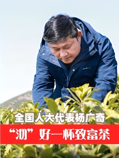 ["兵书记"杨广奇:推动茶产业延链补链助力乡村振兴 全国人大代表广德市新杭镇金鸡笼村党总支书记杨广奇:“沏”好一杯致富茶