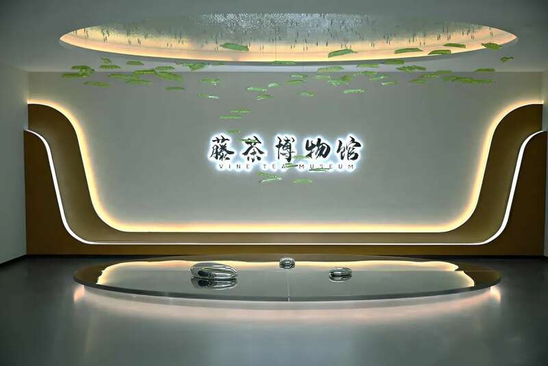 藤茶逆袭之路:从深山药材到健康产业新星 新华社发重磅长文:来凤藤茶如何花30年时间“出山”又出圈